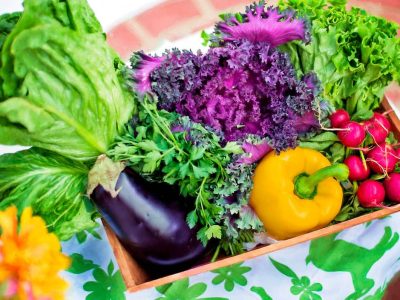Verduras frescas del día